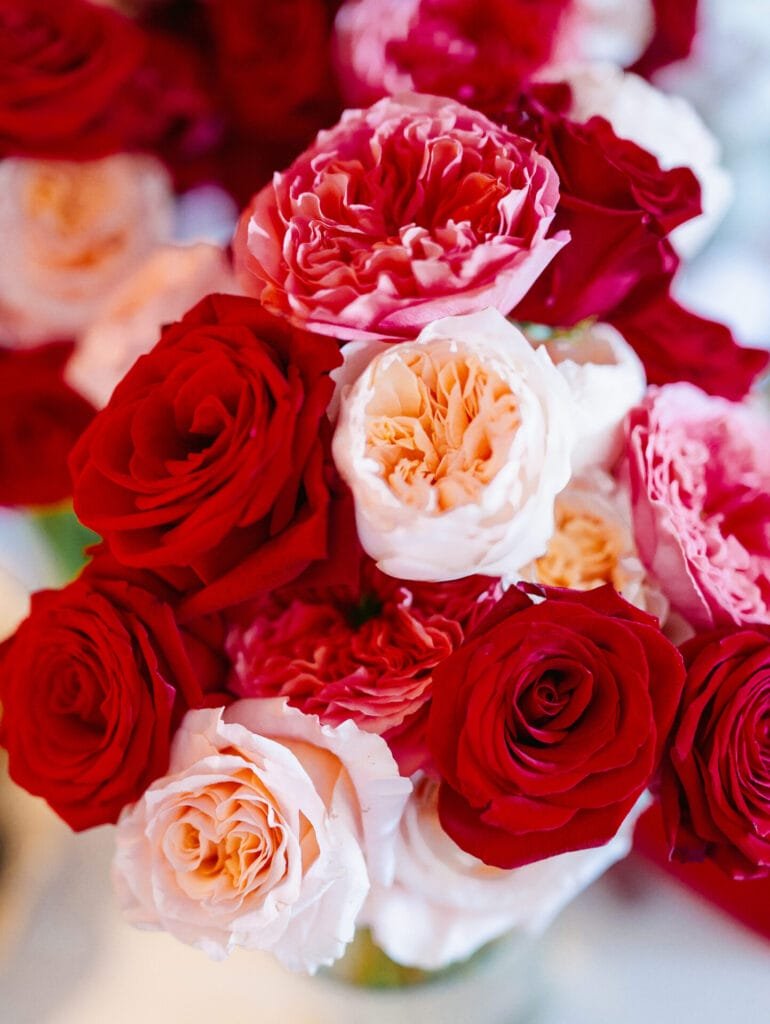 A vibrant bouquet featuring a mix of red, pink, and cream roses. The flowers are tightly clustered, showcasing rich, velvety petals that create a lush and romantic arrangement—perfect for capturing the essence of love at a Villa Cora Florence destination wedding.