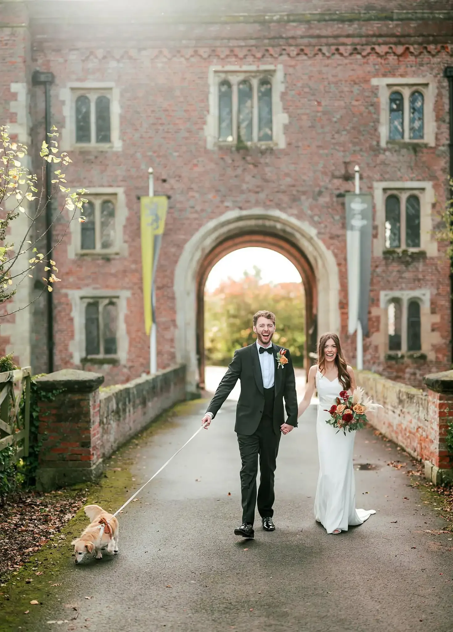 dogs at weddings yorkshire001
