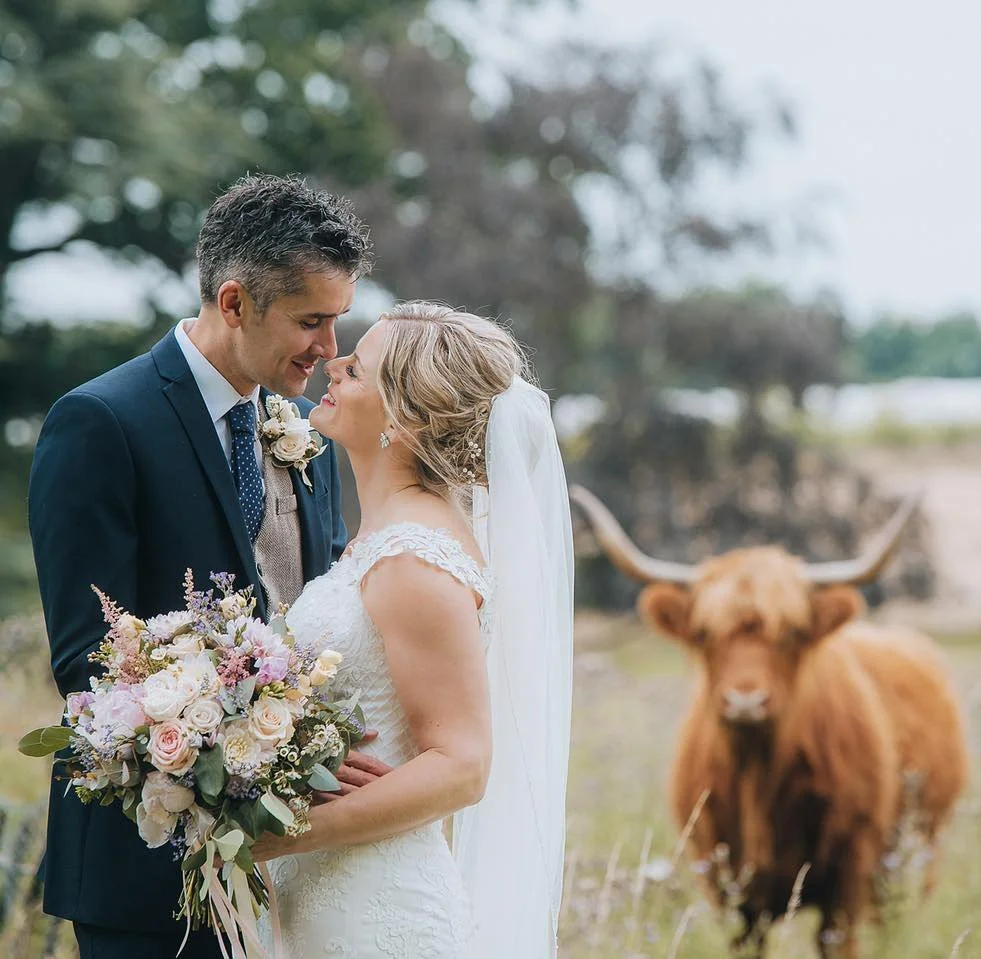 A bride and groom are close together on their wedding day, outdoors with a Highland cow in the background in the grounds of Norwood Park