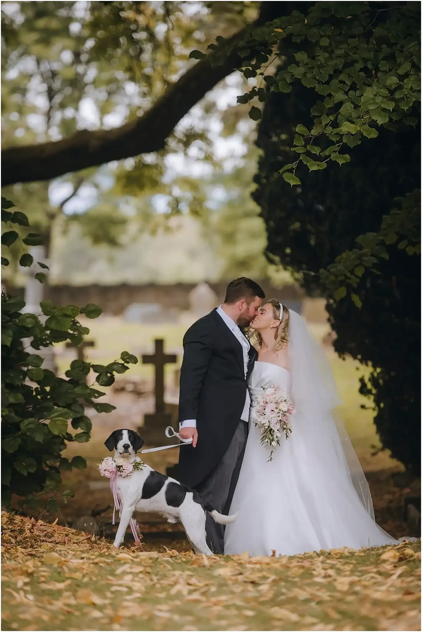 Dogs at Weddings: The Ultimate Yorkshire Guide & Inspiration