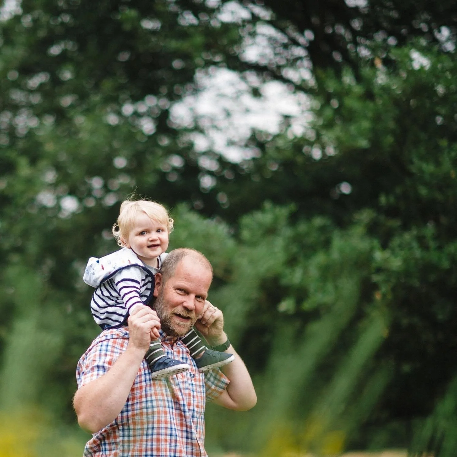 Yorkshire wedding photogrpaher Phil Shillitoe, a man with a beard carrying a blonde young boy , his sonm Albert on his shoulders outdoors in a garden or park with green trees in the background. Family portrait in Clumber Park