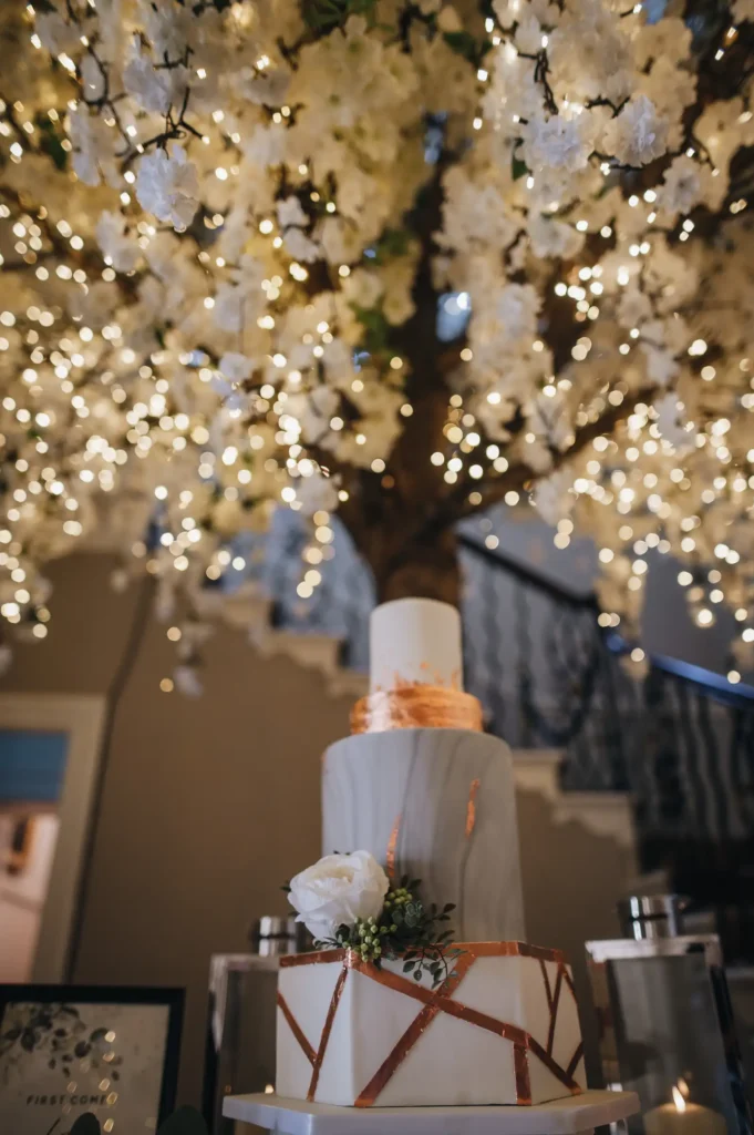 BAWTRY HALL WEDDING PHOTOGRAPHER RECEPTION AND COCKTAILS
