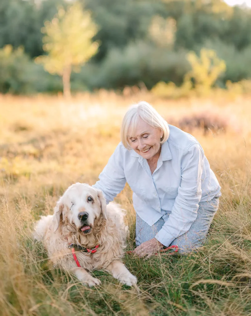 dog photogpraher yorkshire and clumber park