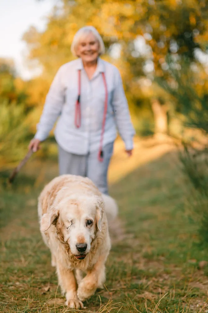 dog photogpraher yorkshire and clumber park
