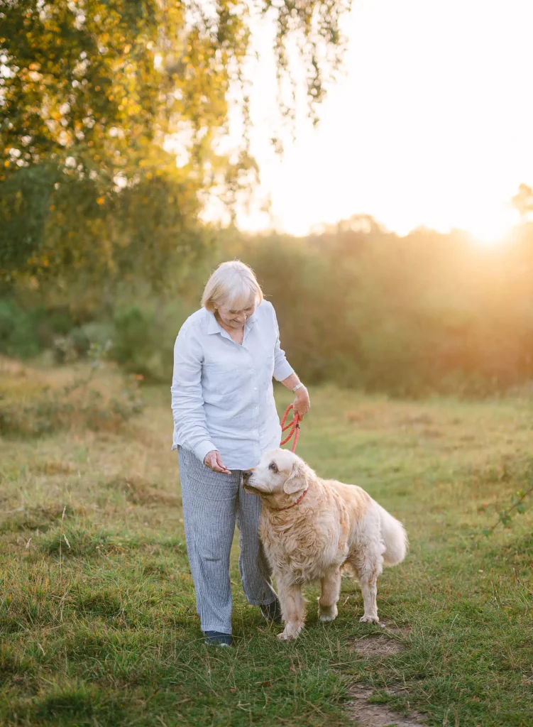 dog photogpraher yorkshire and clumber park