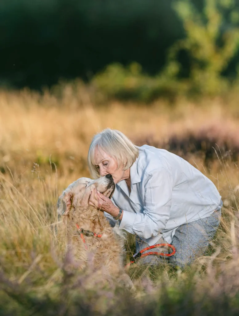 dog photogpraher yorkshire and clumber park