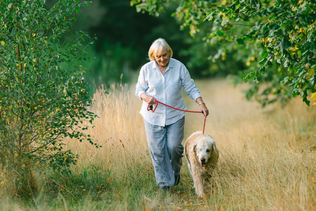 dog photogpraher yorkshire and clumber park